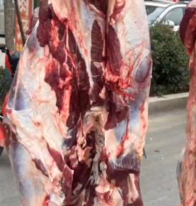 驢肉批發(fā)可提供的驢肉品種有哪些